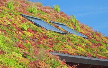 Cubbington living roof systems